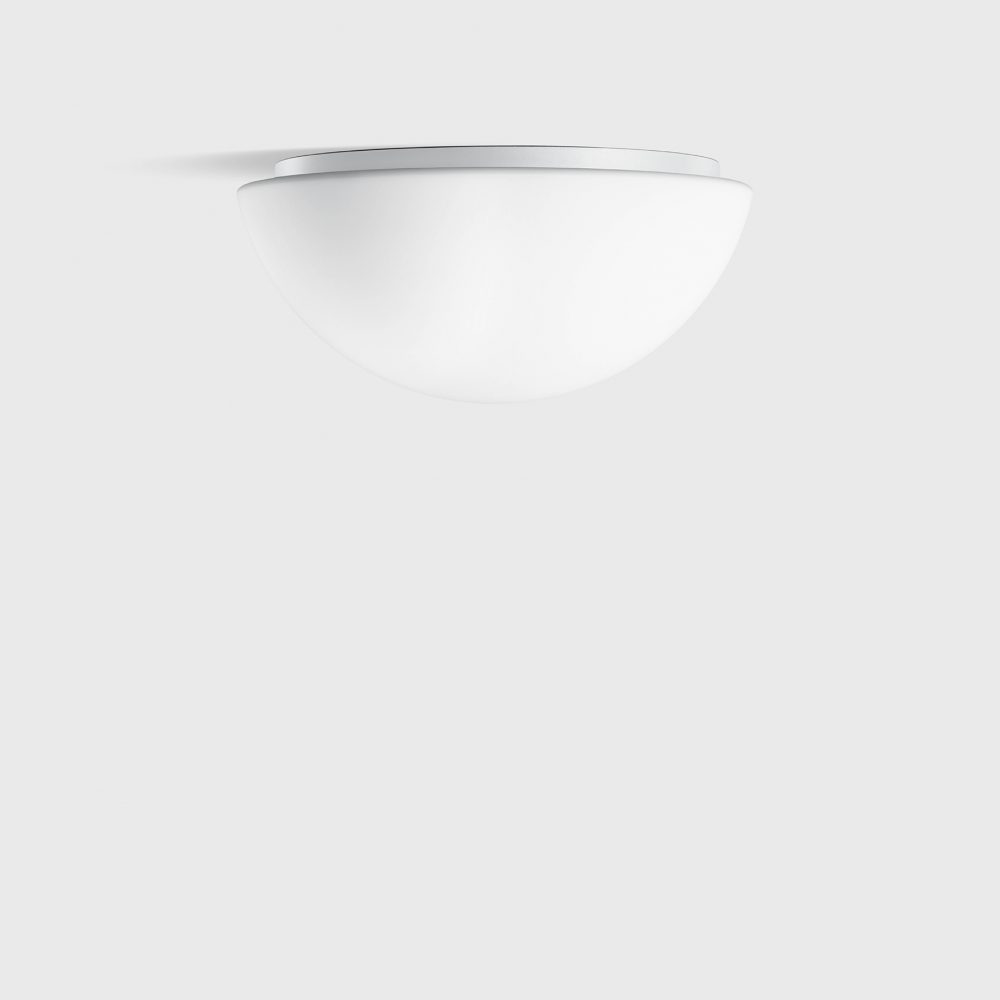 12 223 Wall & Ceiling Luminaire
