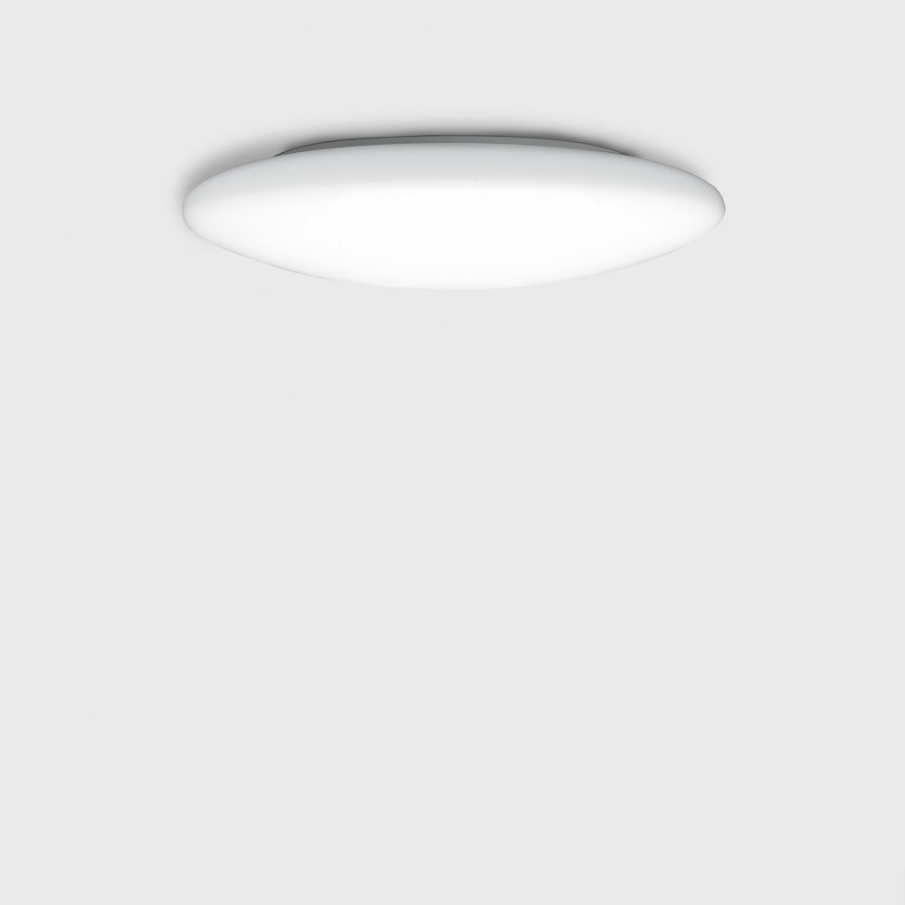 23 296 Wall & Ceiling Luminaire