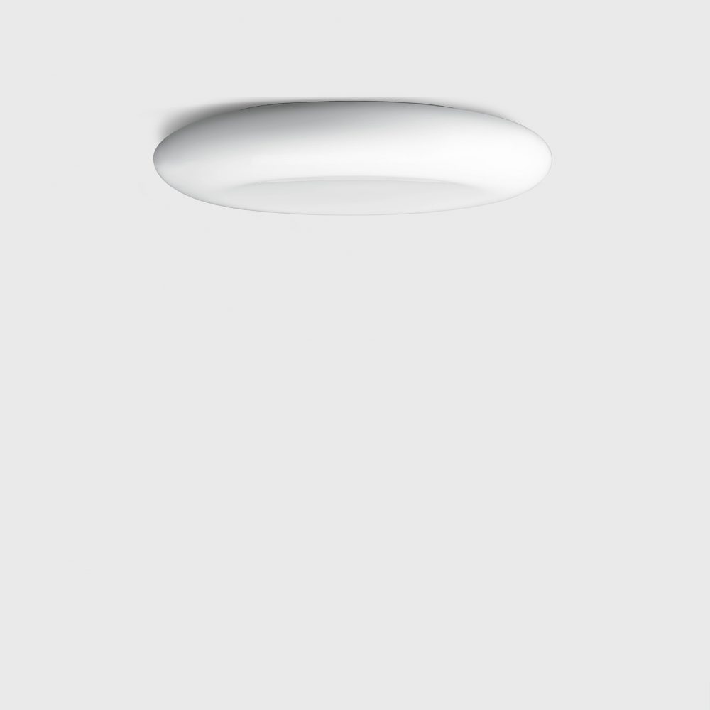 23 321 Wall & Ceiling Luminaire