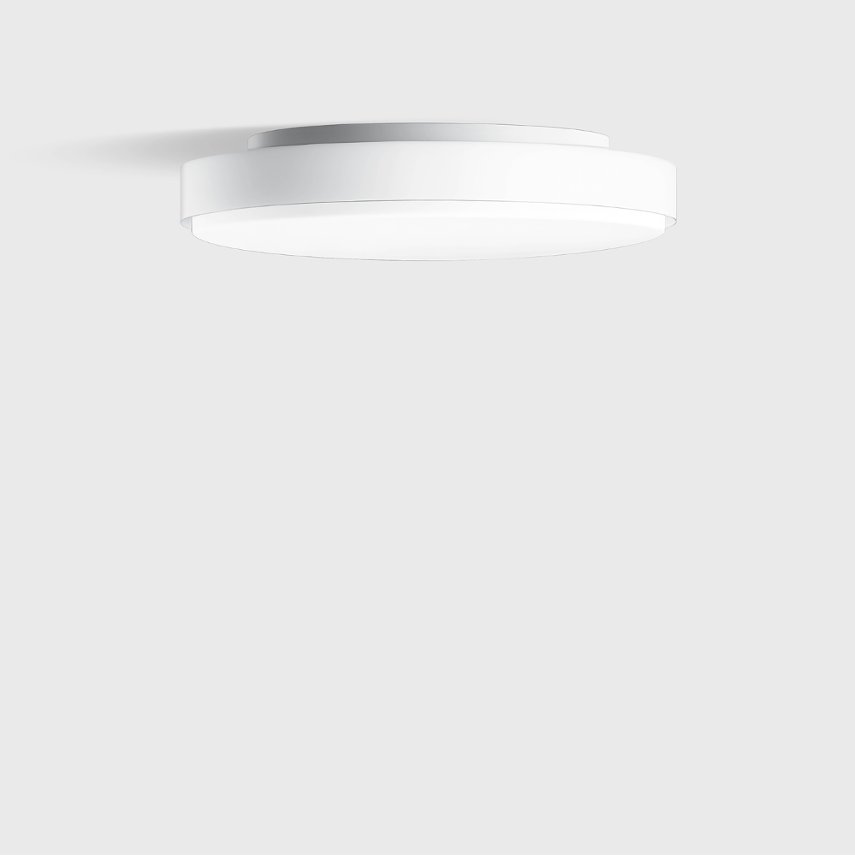 50 653 Ceiling & Wall Luminaire