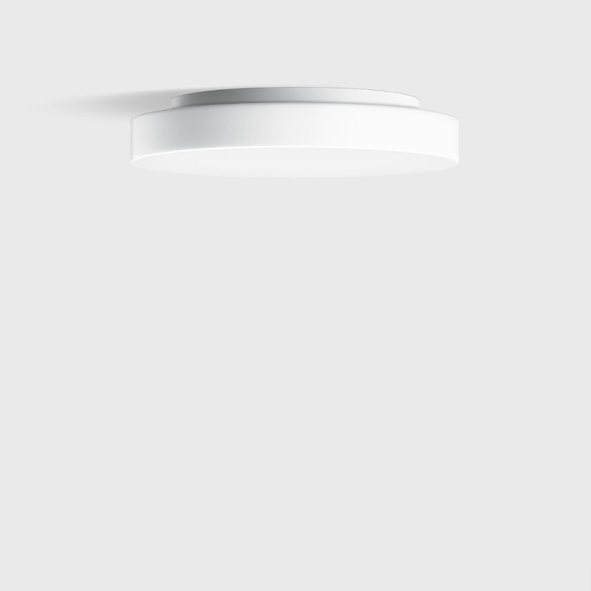 50 651 Ceiling & Wall Luminaire