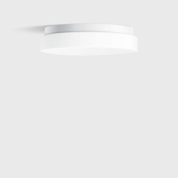 50 078 Wall & Ceiling Luminaire