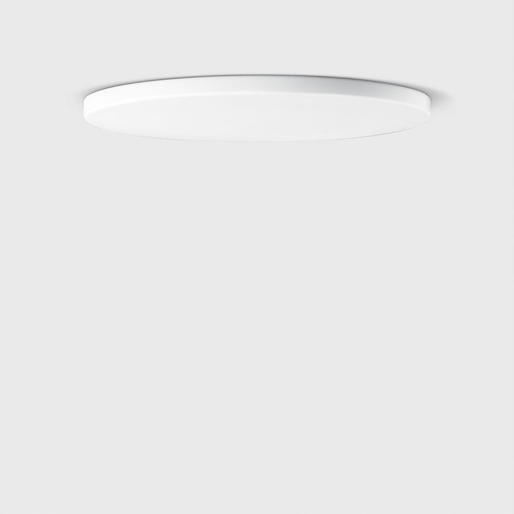 50 527 Wall & Ceiling Luminaire