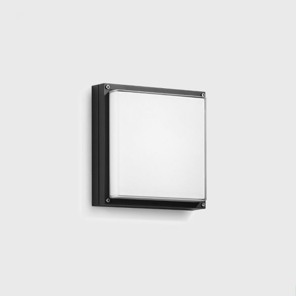 22 663 Wall & Ceiling Luminaire