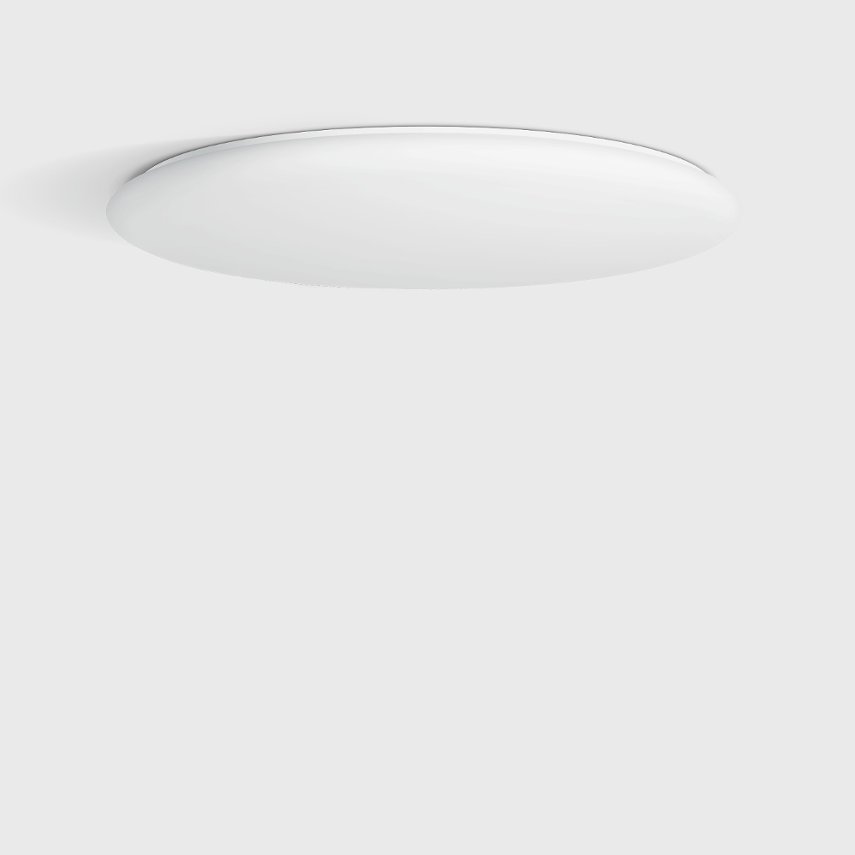 24 730 Large Area Wall & Ceiling Luminaire