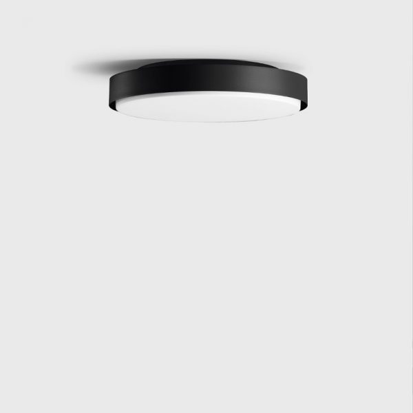 24 042 Ceiling & Wall Luminaire
