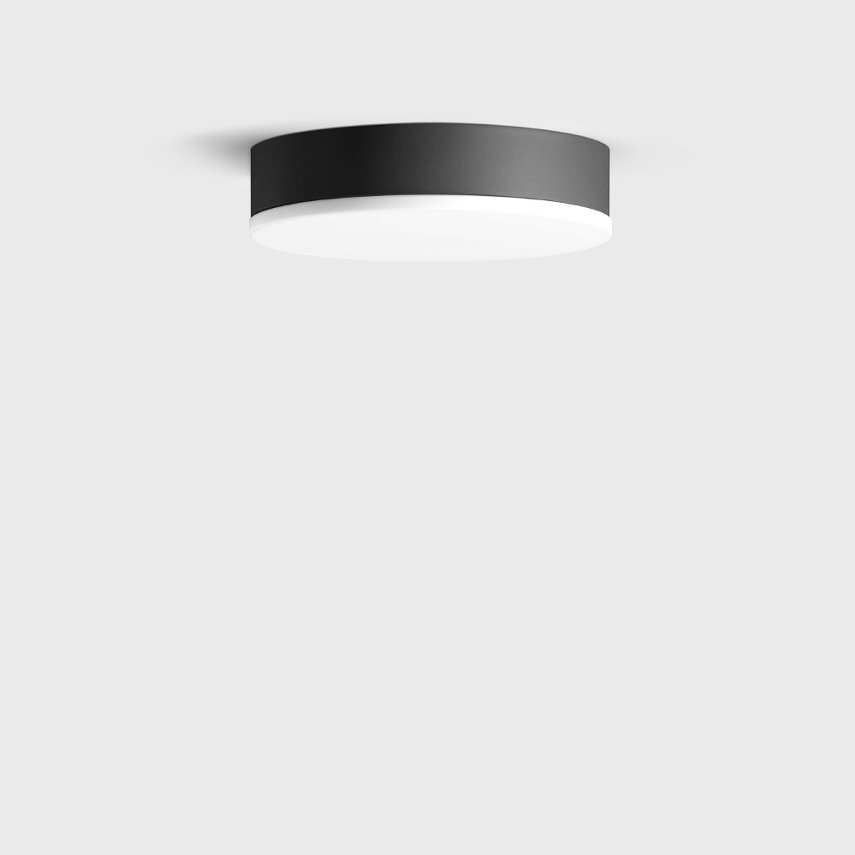 33 636 Ceiling & Wall Luminaire