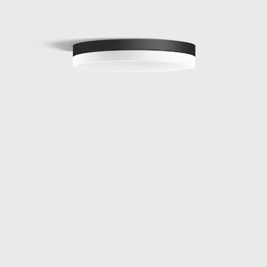 33 680 Ceiling & Wall Luminaire