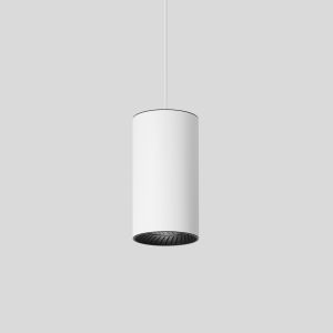 Pendant Luminaire